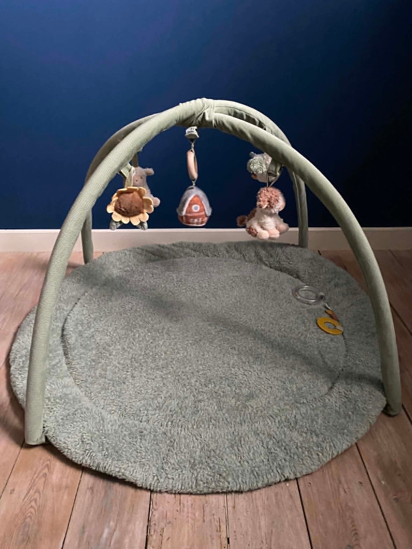 Little Dutch Speelmat met boog I Little Farm